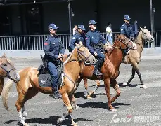 塞得里尔精华怎么获得